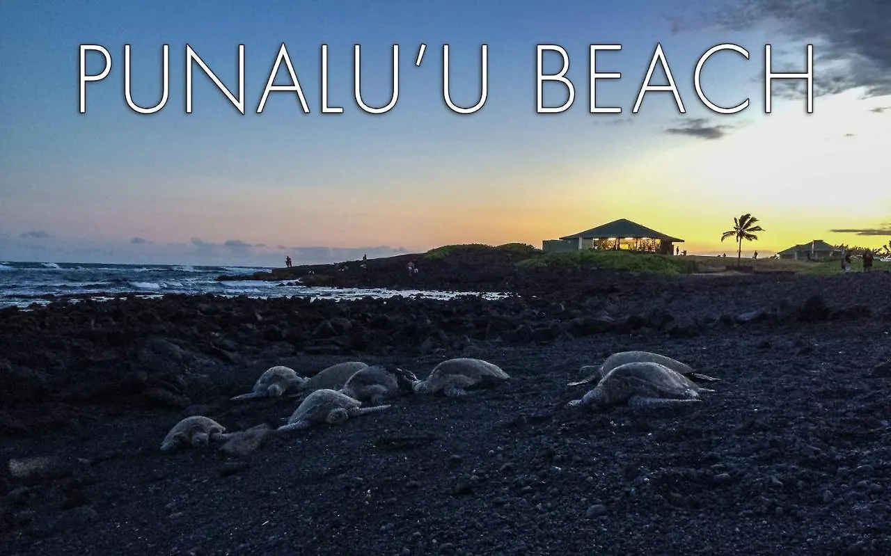 Holiday home 808 Buddha 1 Block To The Ocean Paradise Cliffs Central Location 2 Bedrooms Plus Loft 3 Separate Sleeping Areas Keaau
